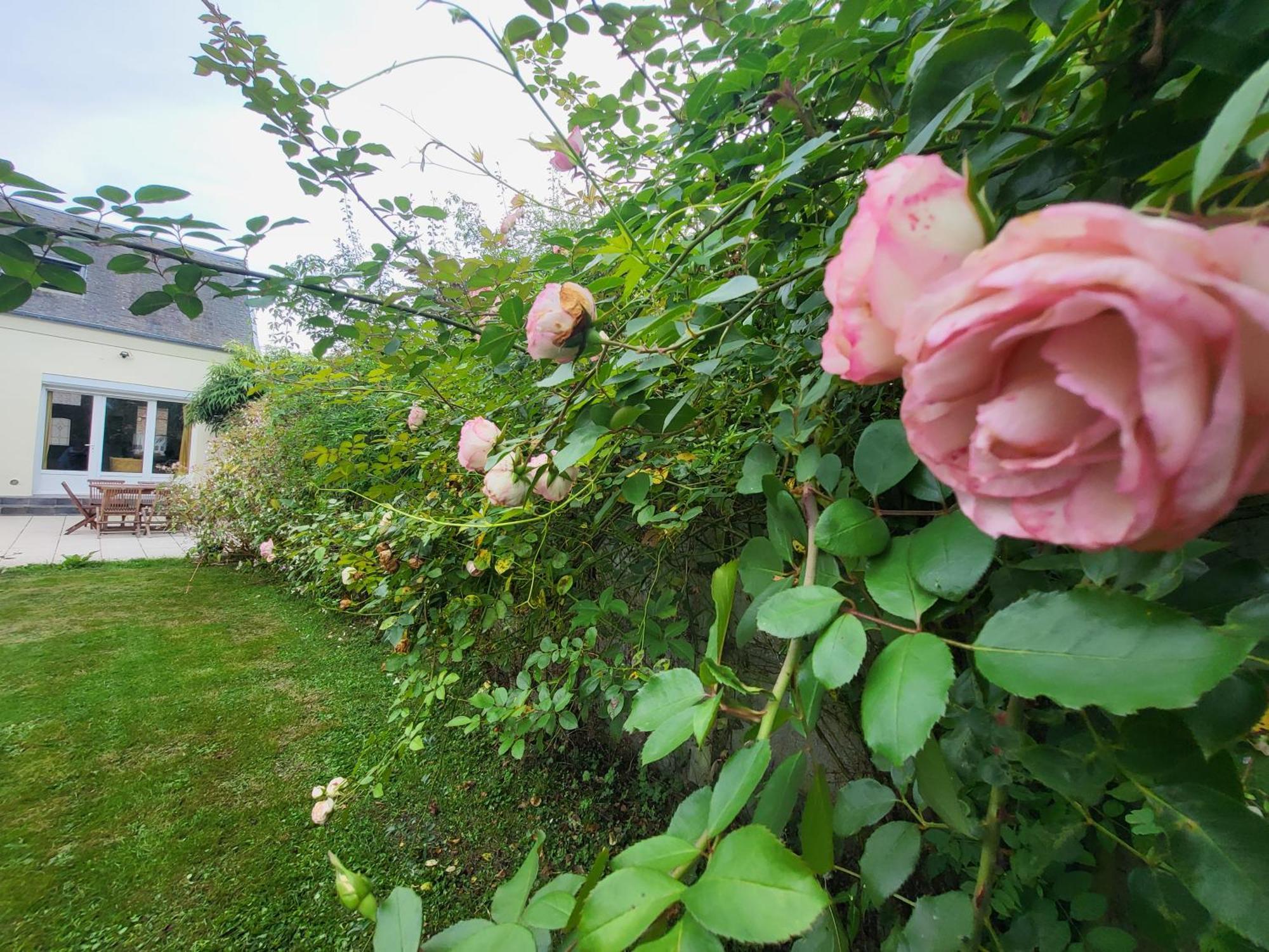 La Massette Villa Favières Eksteriør bilde
